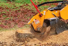 Best Lawn Maintenance Plans  in Edcouch, TX