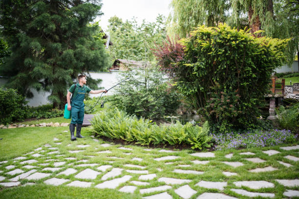 Best Commercial Tree Services  in Edcouch, TX